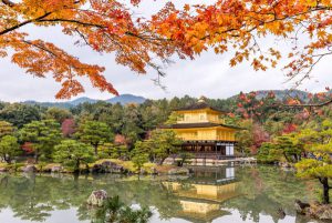 7-Day Pass – Autumn Main Itinerary