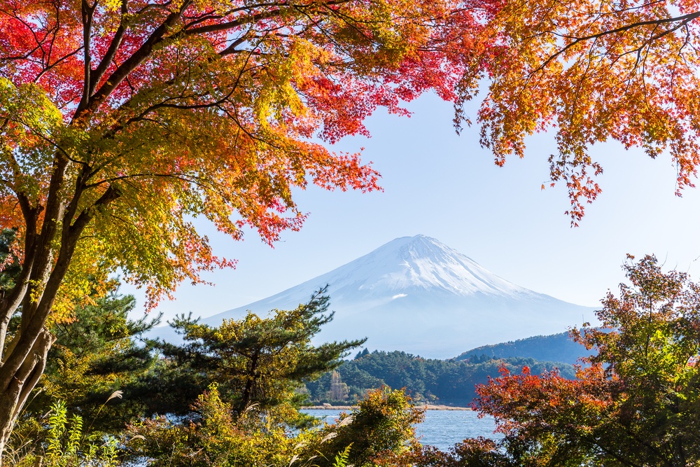 Mount Fuji in Autumn season