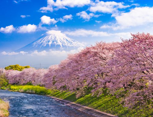 The Ultimate Japan Travel Bucket List