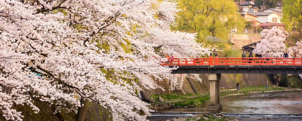 Takayama-City-Guide