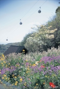 Kobe - Shin-kobe ropeway