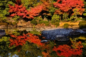 Gardens in Fukuoka