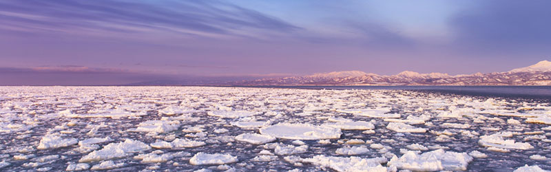 Top-Japan-Drift-Ice