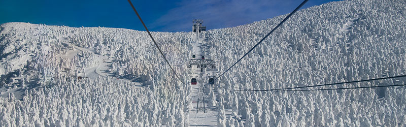 Top-Japan-Go-Skiing