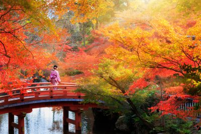 Wooden bridge in the autumn park, Japan autumn season, Kyoto