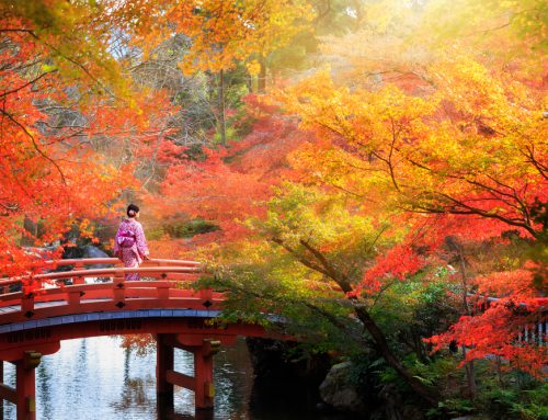 Why Japan Is A Great Country To Travel Solo