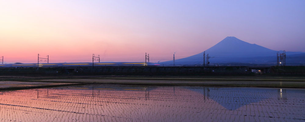 Bullet Train at Sunset