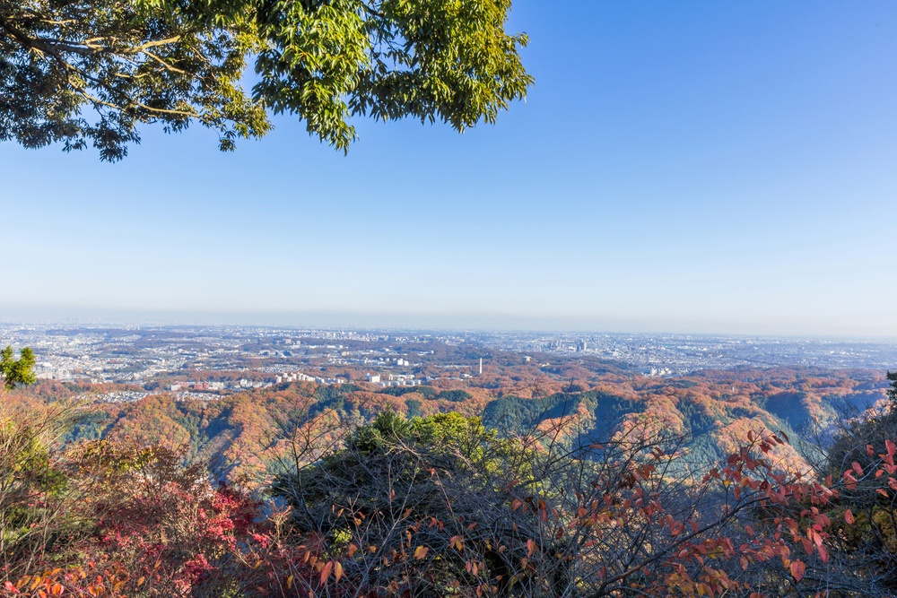 View from Mt. Takao in Autumn