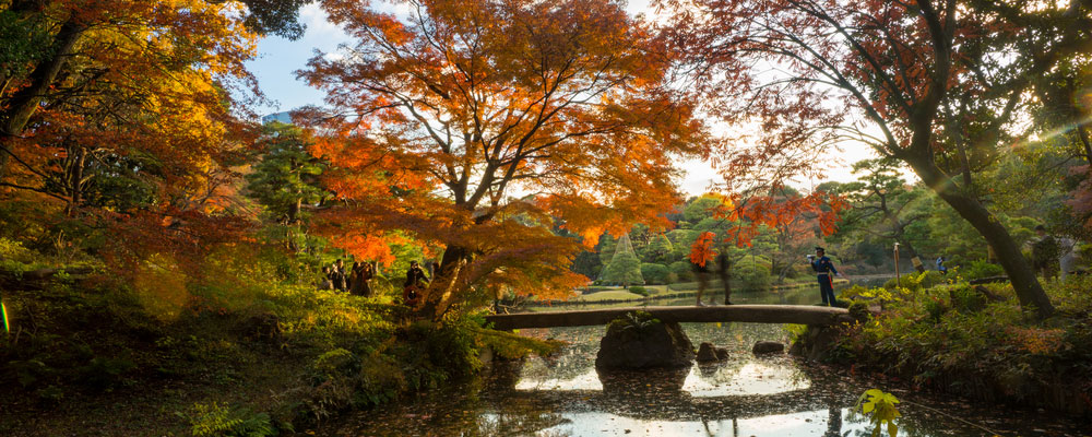 Autumn-Season-Tokyo-Header