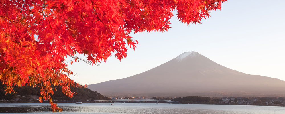 Mt-Fuji-Autumn-Header