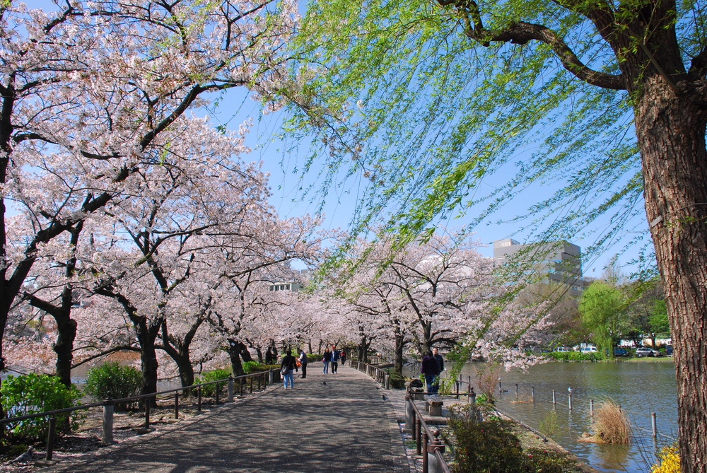 Ueno Park 