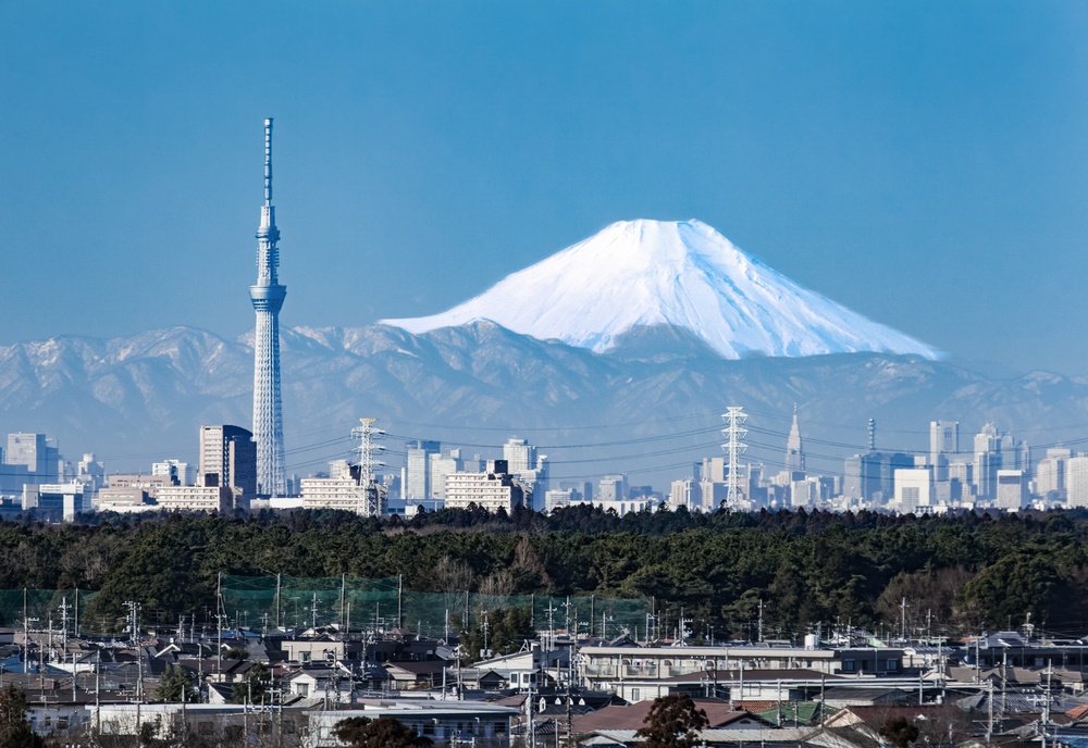 Tokyo City in Winter