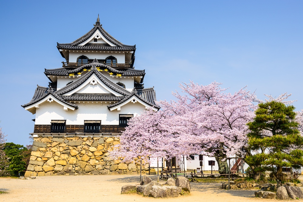 Hikone, Japan at Hikone Casle in the spring season