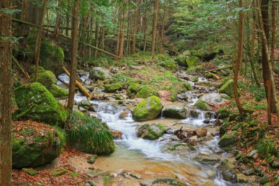 Waterfall and stones covered in moss, green area with unspoiled nature at Nakasendo walking trail from Magome to Tsumago, Japan