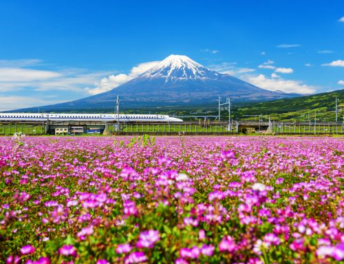 Japan Rail Pass: Navigating the Changes in October 2023