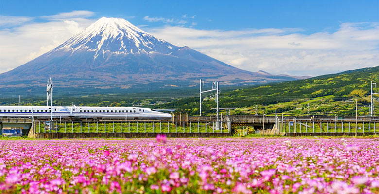 Bullet-Train-PopUp